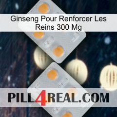 Ginseng For Reinforcing Kidney 300 Mg 25